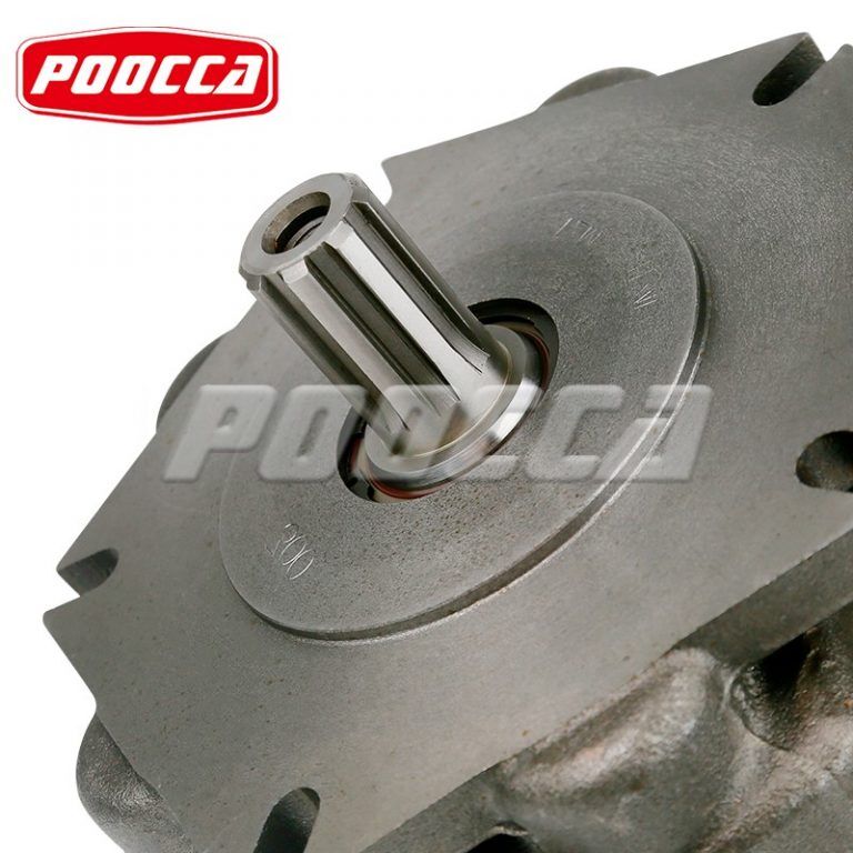 Sai GM2 300 1H D 47 Motor (2)